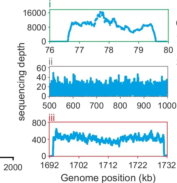 Open access visualization of Line Plot, Coverage Depth, M. smithii PS chromosome, Circular Element, MSTV1 provirus