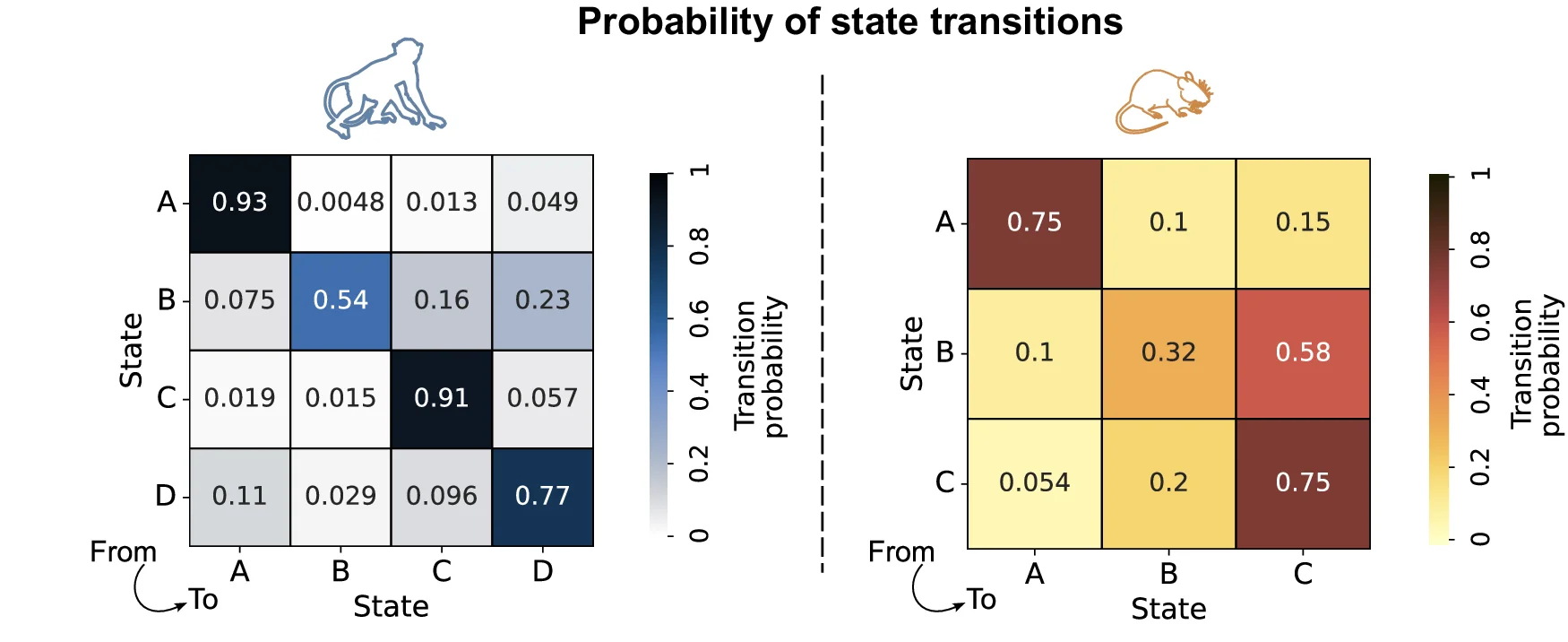 Open access visualization of Heatmap, State Transition Matrices, Macaques, Mice, Transition Probability
