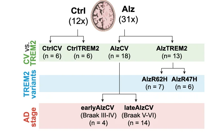 Open access visualization of Workflow, Flowchart, FFPE Sections, MTG, Non-Disease Controls