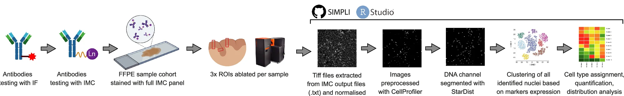 Open access visualization of Workflow, Scatter Plot, Heatmap, Microscopy, Methodological Pipeline
