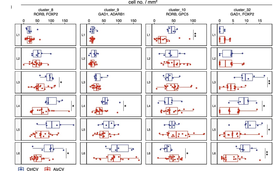 Open access visualization of Box Plot, Scatter Plot, Cell Density, Cortical Layer, Alzheimer's Disease