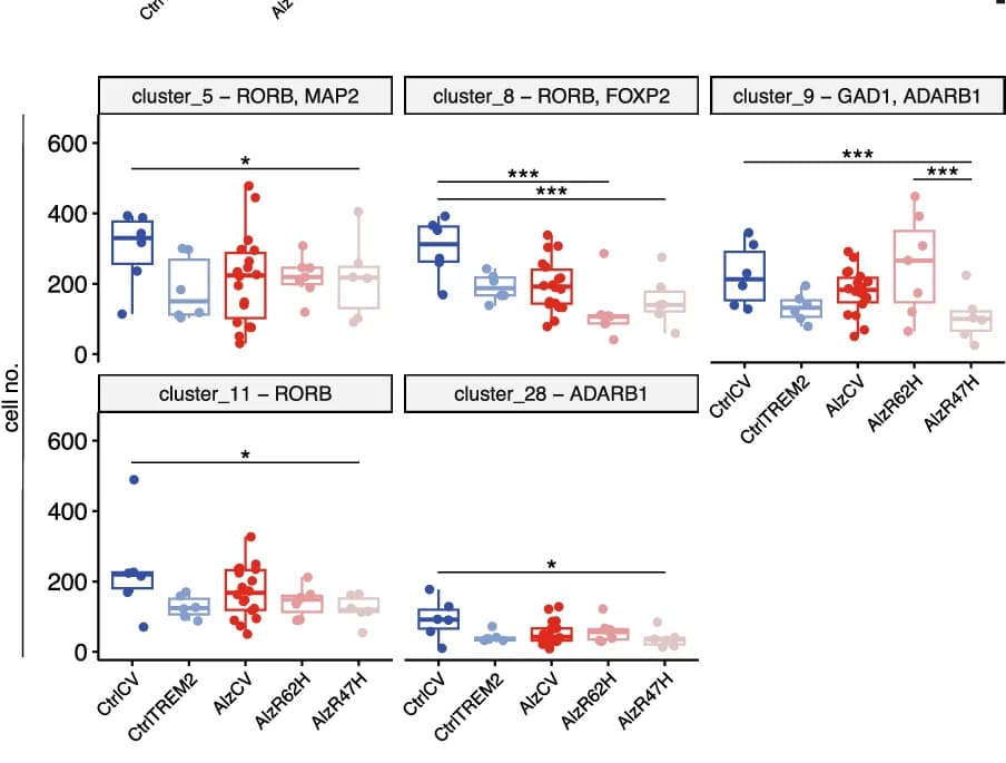 Open access visualization of Box Plot, Scatter Plot, Cell Numbers, Alzheimer's Disease, TREM2 Allele