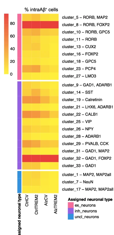 Open access visualization of Heatmap, pTau, Aβ, Neuronal Subtype, CtrlCV