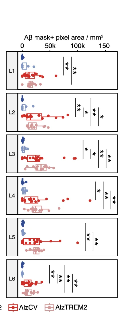 Open access visualization of Scatter Plot, Box Plot, Error Bars, Amyloid Beta Plaques, Cortical Layer