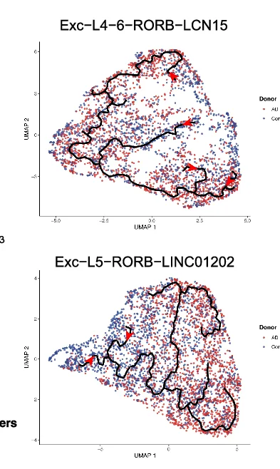 Open access visualization of UMAP, Scatter Plot, Clinical Disease, Braak, Pseudo-time Trajectories