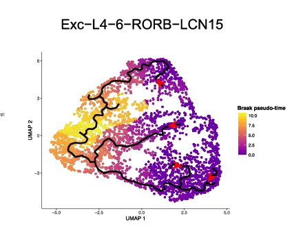 Open access visualization of UMAP, Scatter Plot, Line Plot, Clinical Disease, Braak