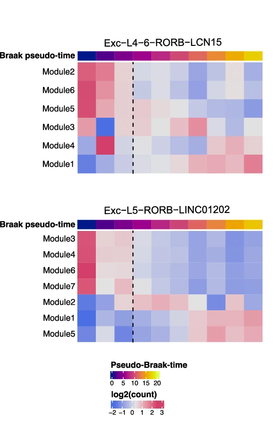 Open access visualization of Heatmap, Gene Pathways, Braak, Pseudo-time, Neuronal Clusters