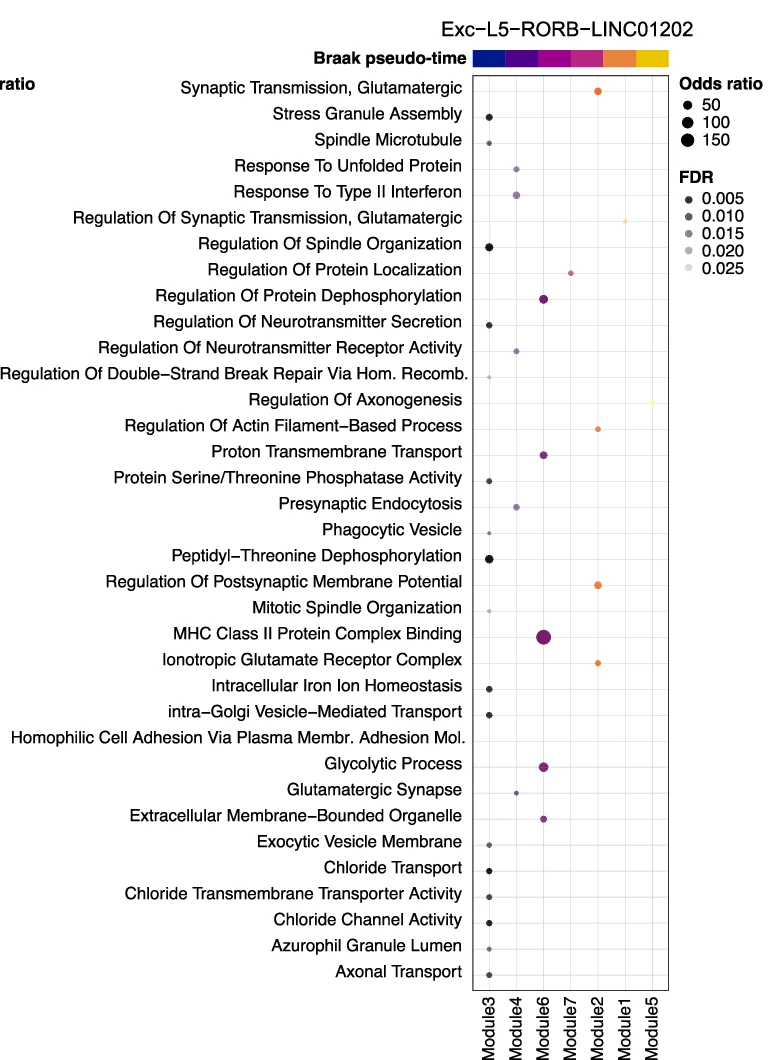 Open access visualization of Scatter Plot, Pathways, Braak, Pseudo-time Stages, Neuronal Clusters