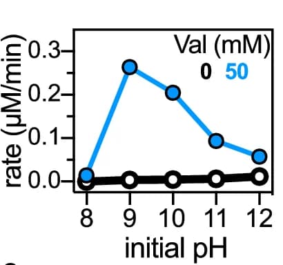 Open access visualization of Line Plot, cCMP Oligomerisation, Reaction Rate, Valine