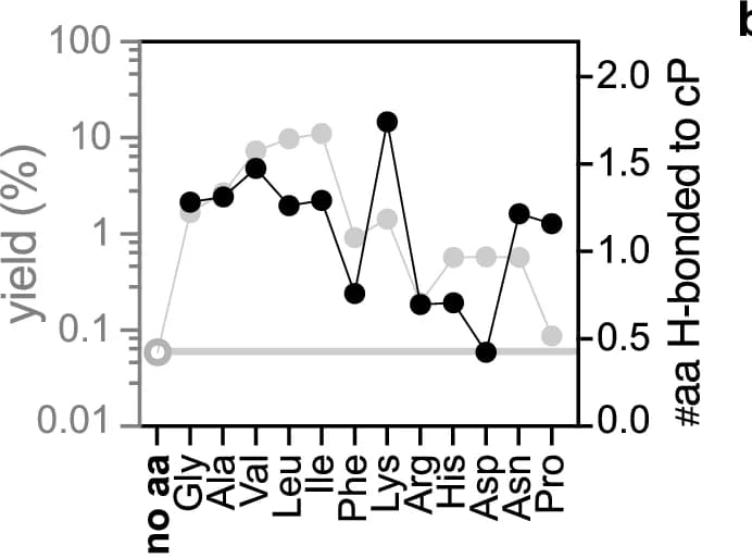 Open access visualization of Line Plot, Amino Acid, Oligomerization, Hydrogen Bonds, Molecular Dynamics Simulations