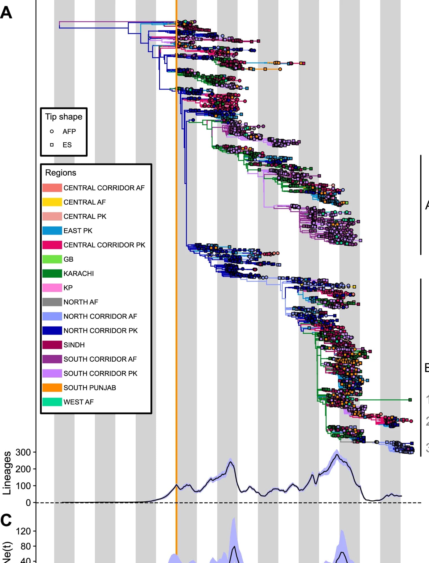 Open access visualization of Line Plot, Scatter Plot, Lineages Through Time, LTT Plot, Viral Sequences