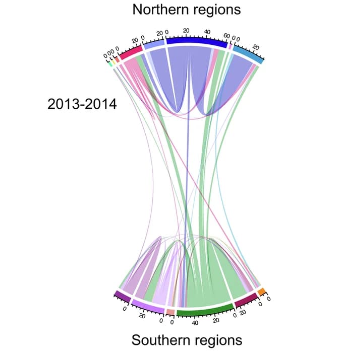 Open access visualization of Chord, Movement Events, Outbreak Periods, Ancestral Regions, Exporting Region