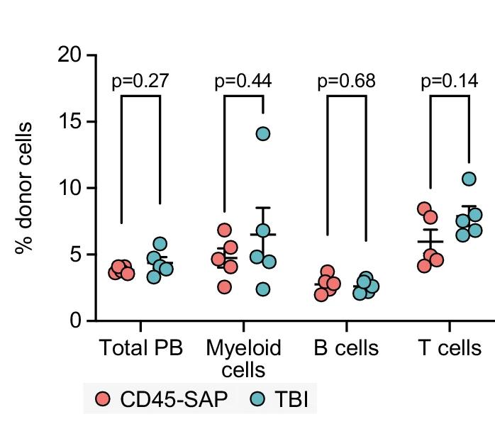 Open access visualization of Scatter Plot, Error Bars, Donor Cells, Peripheral Blood, PB Reconstitution