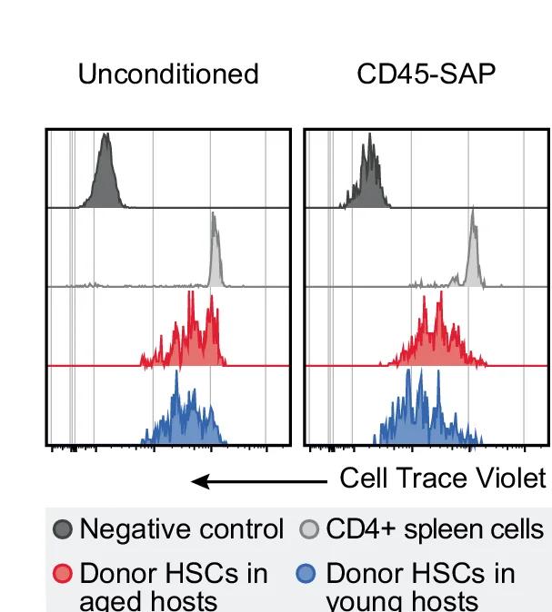 Open access visualization of Line Plot, Density Plot, Histograms, CTV Labeling, Donor-Derived HSCs