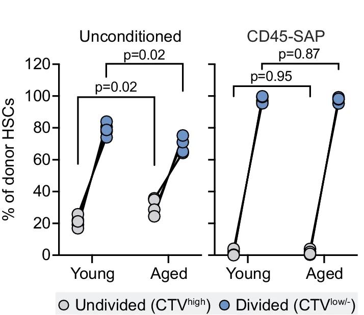 Open access visualization of Scatter Plot, Line Plot, Donor HSCs, Unpaired T-test, Welch Correction