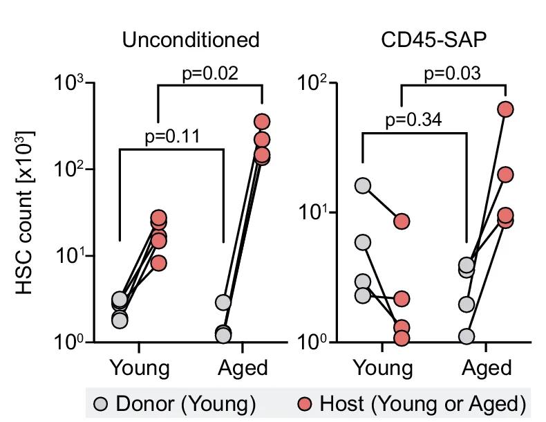 Open access visualization of Scatter Plot, Line Plot, Experimental Design, HSCs, CTV Dye