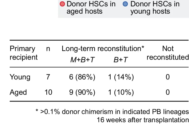 Open access visualization of Table Image, Hematopoietic Reconstitution, HSCs, Multilineage, Lymphoid Reconstitution