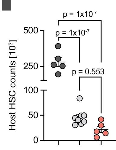 Open access visualization of Scatter Plot, Donor HSCs, Host HSCs, Aged Recipients, CD45-SAP