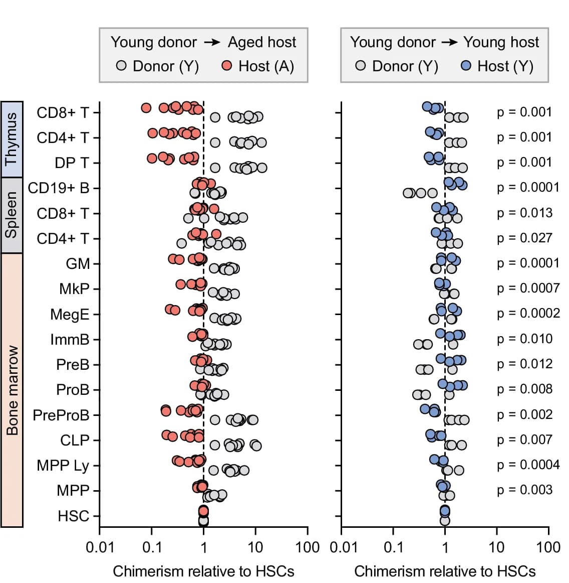 Open access visualization of Scatter Plot, Chimerism Levels, Hematopoietic Cell Subsets, HSCs, Aged Recipients
