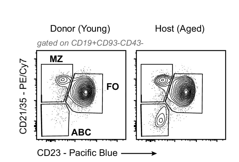 Open access visualization of Scatter Plot, Flow Cytometry, Splenic B Cell Subsets, Donor, Host