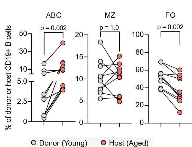 Open access visualization of Scatter Plot, Line Plot, Splenic Cells, ABC, MZ