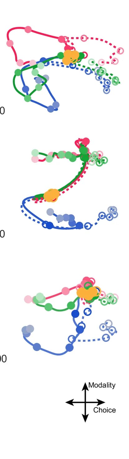 Open access visualization of Line Plot, Scatter Plot, Neural Activities, CN, LIP