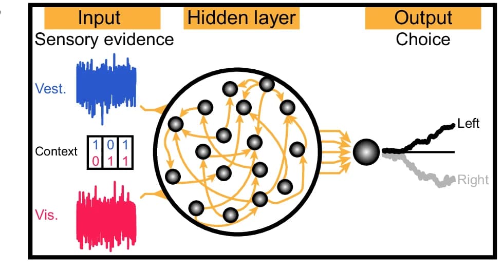 Open access visualization of Network, Pathway, Line Plot, Artificial Network, Vestibular Input
