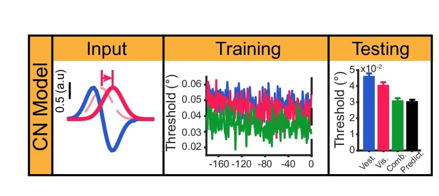 Open access visualization of Line Plot, Bar Plot, Error Bars, Vestibular Input, Visual Input