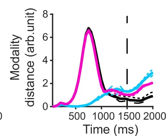 Open access visualization of Line Plot, Modality Patterns, Sensory Modalities, Stimulus