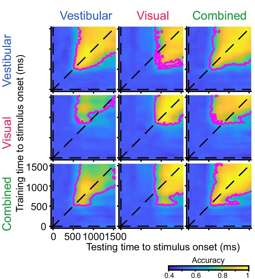 Open access visualization of Heatmap, Decoding Accuracy, Lasso Classifiers, Heat Maps, Within-Modality Decoding