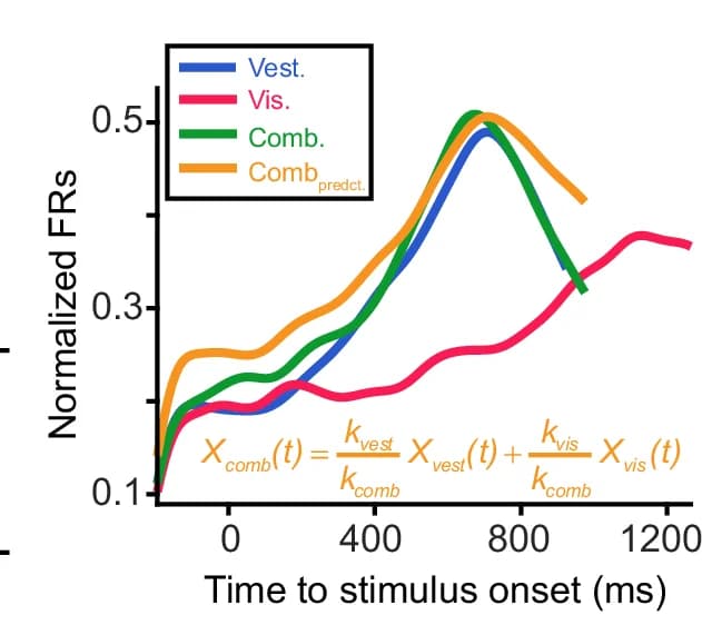 Open access visualization of Line Plot, Population Firing Rates, CN Neurons, Multimodal Response, GDDM