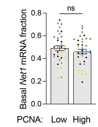 Open access visualization of Bar Plot, Scatter Plot, Error Bars, Basal Fraction, Net1