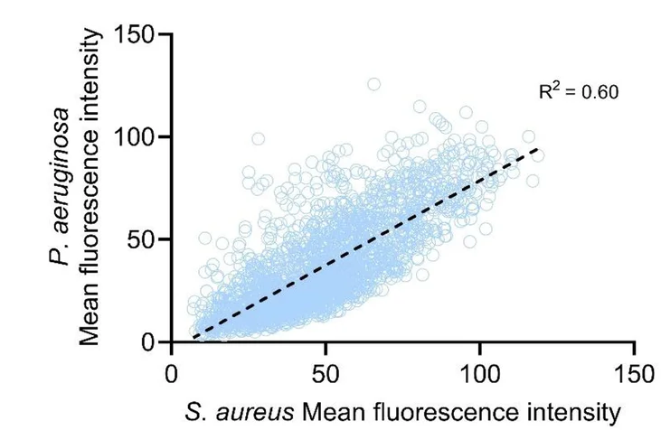 Open access visualization of Scatter Plot, Regression Plot, Mean Fluorescence Intensities, P. Aeruginosa, S. Aureus