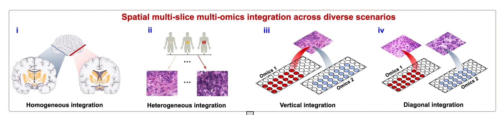 Open access visualization of Workflow, Illustration, Multi-Slice Omics Data, Spatial Transcriptomics, Data Integration