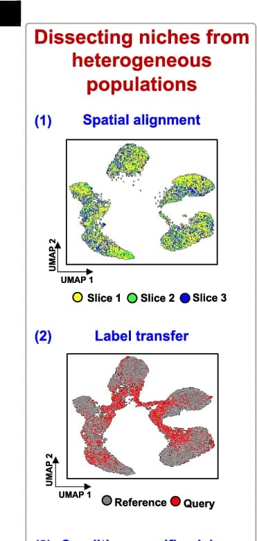 Open access visualization of UMAP, Scatter Plot, Integrated Features, Niche Dissection, Heterogenous Tissues