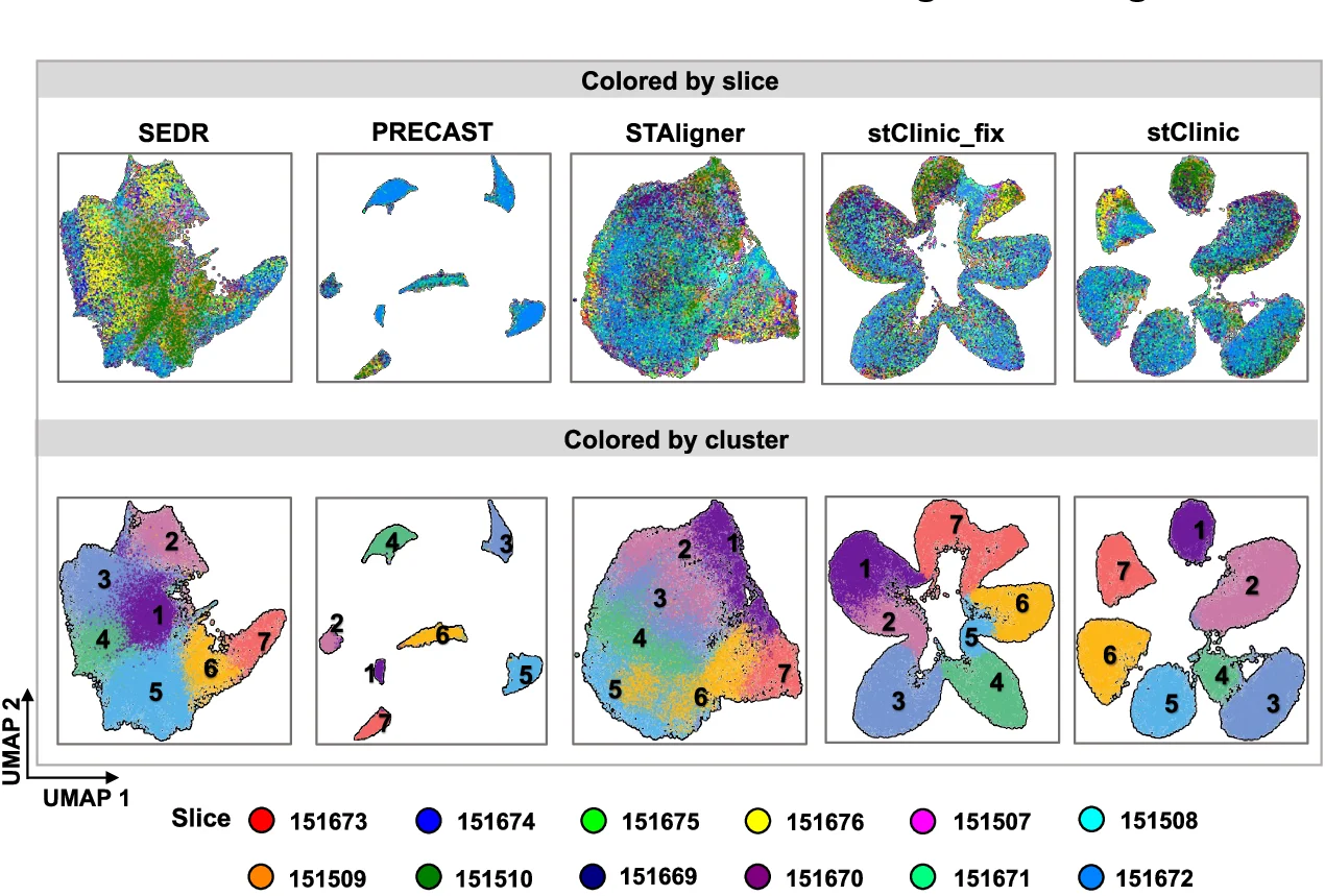 Open access visualization of UMAP, Scatter Plot, UMAP Visualization, Latent Features, SEDR