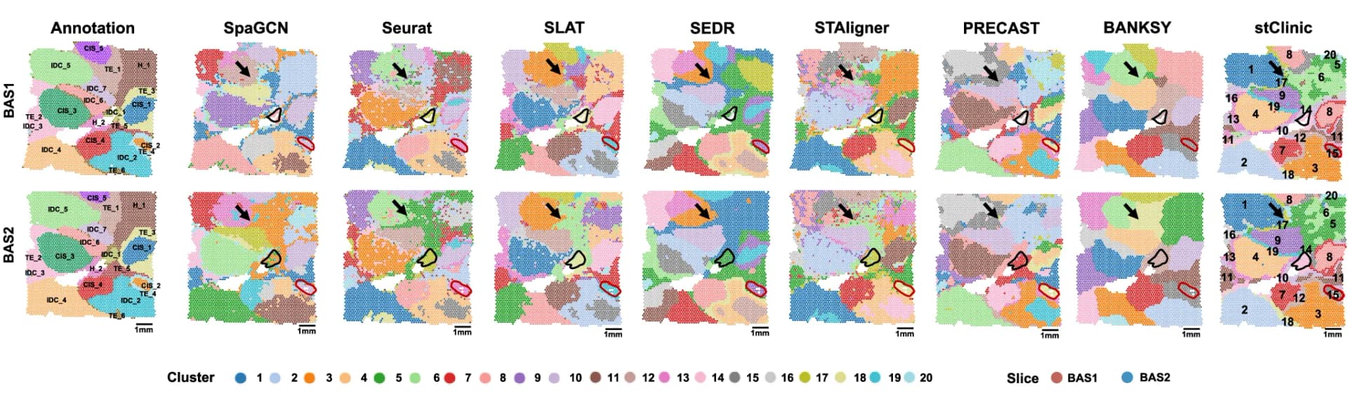 Open access visualization of Scatter Plot, UMAP, PCA, H&E Stained Plots, SpaGCN