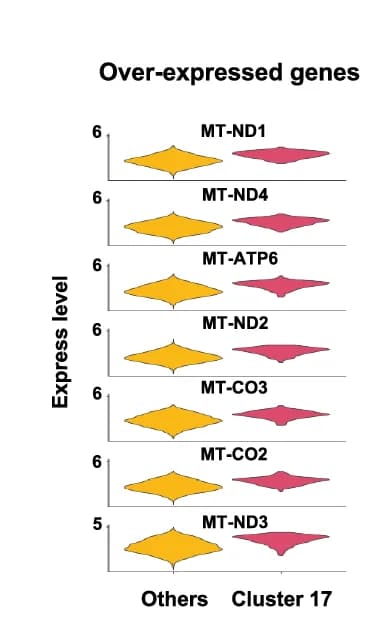 Open access visualization of Violin Plot, Over-expressed Genes, Cluster 17