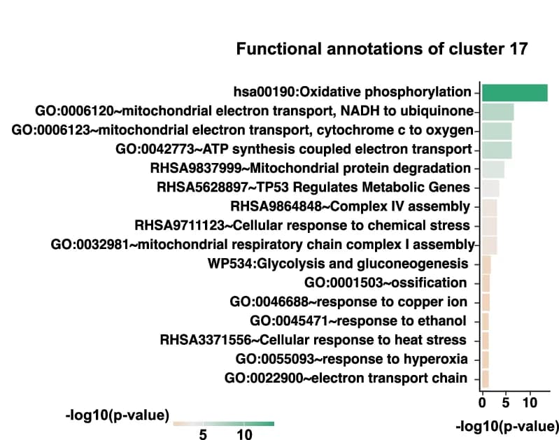 Open access visualization of Bar Plot, Functional Annotation, Over-expressed Genes, Cluster 17, Fisher’s Exact Test
