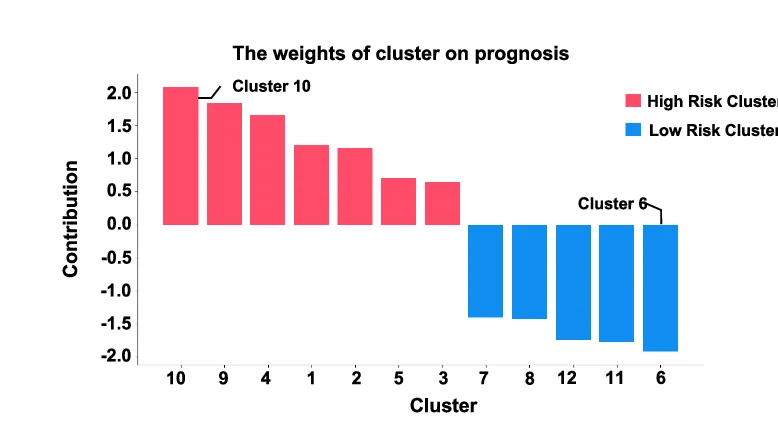 Open access visualization of Bar Plot, Cluster Weights, Prognosis, Spatial Transcriptomics