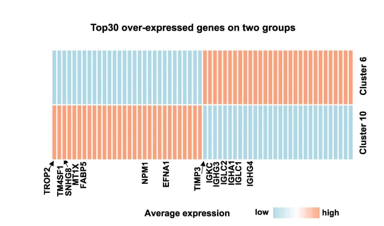 Open access visualization of Stacked Bar Plot, Heatmap, Gene Expression, Over-Expressed Genes, Clustering