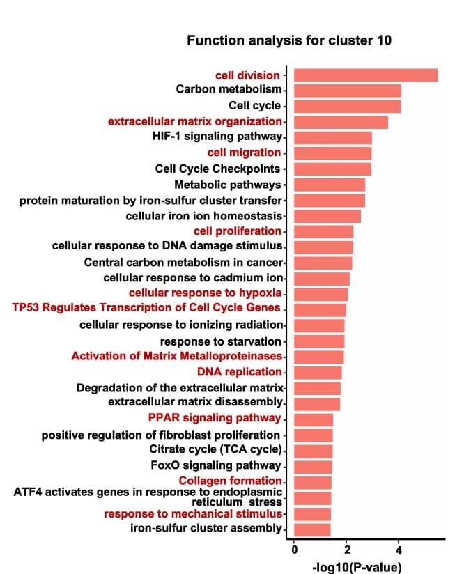 Open access visualization of Bar Plot, Functional Enrichment Analysis, Over-Expressed Genes, Fisher's Exact Test