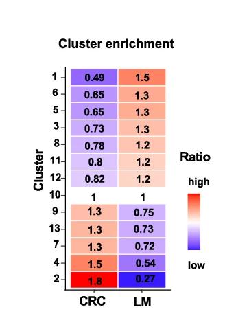 Open access visualization of Heatmap, Cluster Enrichment, CRC, LM Slices