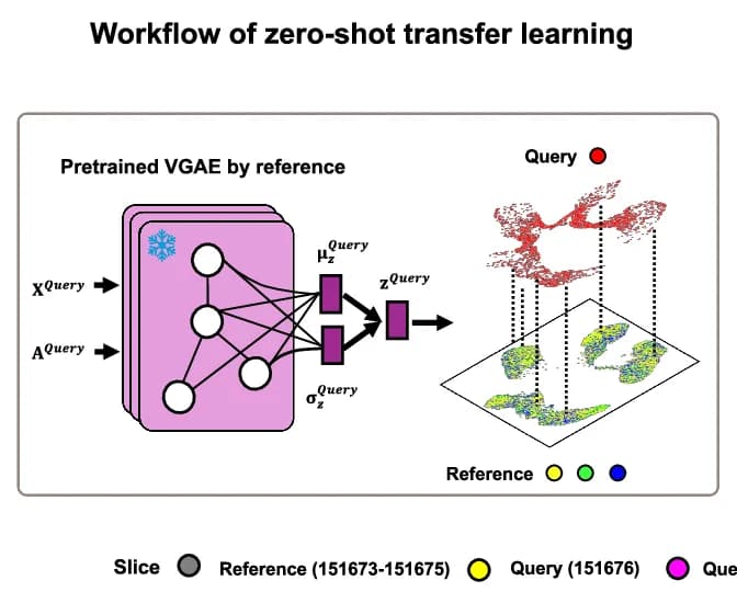 Open access visualization of Workflow, Illustration, Encoder, Feature Space, Label Transfer