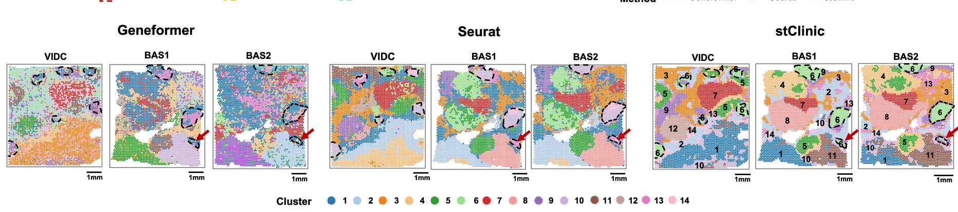Open access visualization of Scatter Plot, Spatial Distributions, Clusters, VIDC, BAS1