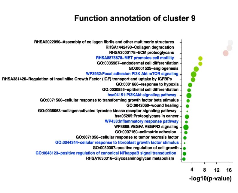 Open access visualization of Bubble Plot, Functional Annotation, Over-expressed Genes, Cluster 9, Fishers Exact Test