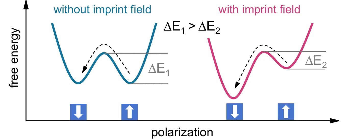 Open access visualization of Line Plot, Flexoelectric Switching, Imprint Field, Landau Free Energy, Ferroelectric