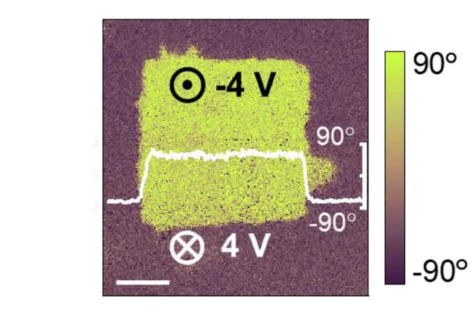 Open access visualization of Heatmap, Line Plot, Line Step, Piezoresponse Force Microscopy, PFM