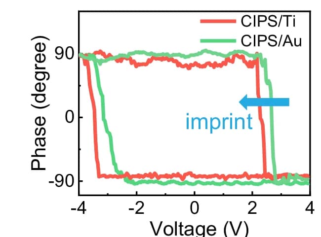 Open access visualization of Line Plot, Phase Hysteresis Loops, CIPS, Titanium, Gold