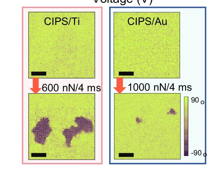 Open access visualization of Heatmap, PFM, Phase Images, CIPS, Titanium